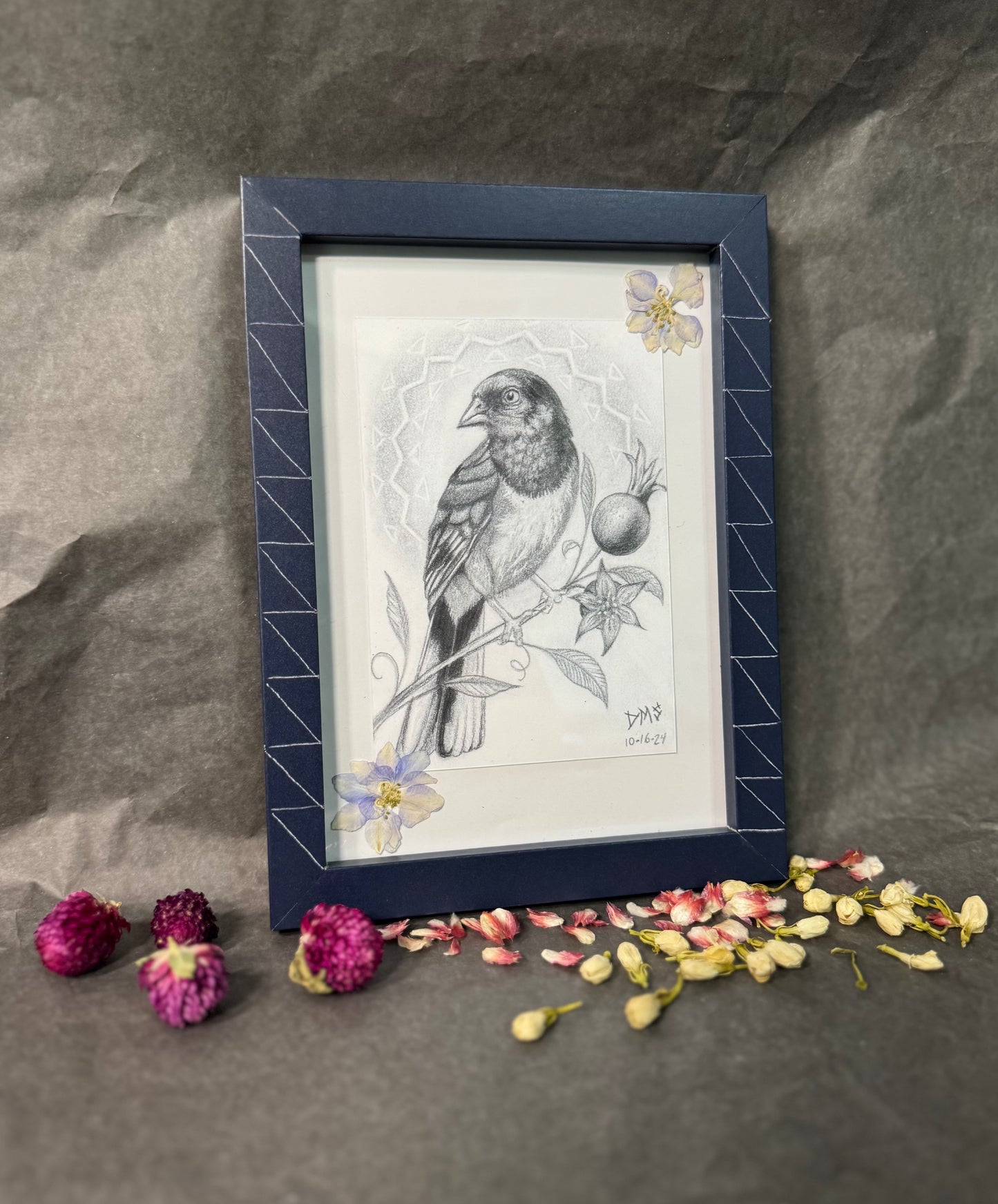 Spotted Towhee & Pomegranate framed prints (mini)