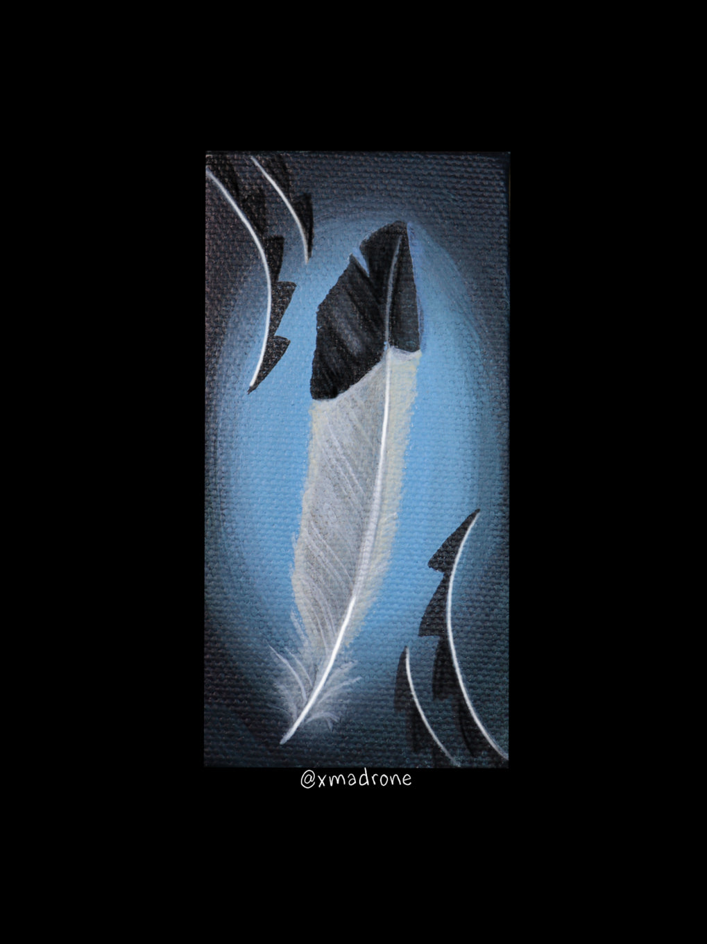 Acorn Woodpecker Feather sticker