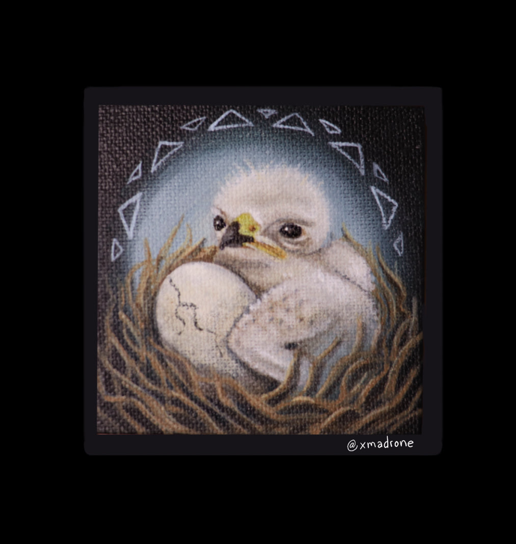 Redtail Hawk chick sticker